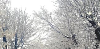 Погода в Бердичеві 19–23 січня 2026: сильні морози, сніг та ожеледиця – прогноз на тиждень Погода у Бердичеві