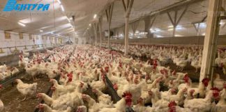Курячий послід як побічна продукція птахофабрик Обладнання для птахофабоие