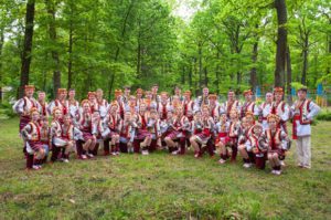 Явір у лісі