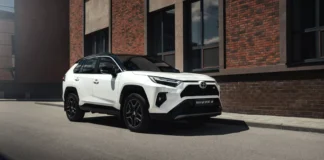 Авторинок Бердичева: Toyota та китайські бренди (BYD) набирають популярність Тойота РАВ 4