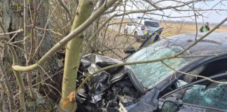 Смертельна ДТП у Бердичівському районі: 34-річний водій Skoda Superb загинув у Новому Солотвині ДТП Бердичів