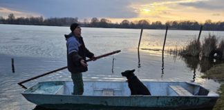 У Бердичеві рятувальники рятували впертого пса з льоду Гнилоп’яті Рятували собаку у Бердичеві