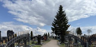 Ірена Лісова закликає мешканців не засмічувати кладовища штучними квітами Кладовище