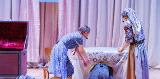 «Лопухи» в Бердичеві: комедія Анастасії Сувейки подарувала залі щирий сміх і життєву мудрість Театр у Бердичеві
