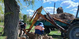 Робота в Бердичеві: «Бердичівкомунсервіс» терміново набирає працівників Робота у Бердичеві