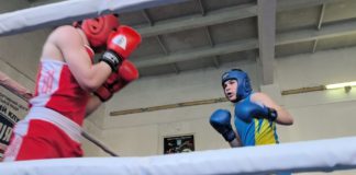 Бердичів тріумфує на чемпіонаті Житомирської області з боксу: 16 медалей та 10 золотих Бокс у Бердичеві