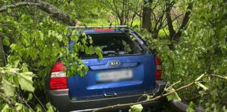 ДТП зі смертельними наслідками у Чоповицькій громаді: загину мешканець Бердичівщини Смертельна ДТП
