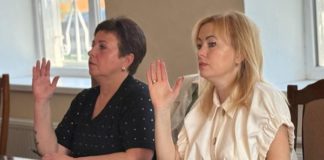 Гришковецька громада вимагає світлофор і камери на трасі: сесія відреагувала на небезпечний перехід у Реї Ірена Лісова