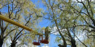Пляж у Бердичеві готують до сезону: графік вбиральні та вакансії Прибирання на пляжі