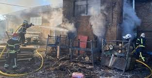 Пожежа на деревообробному підприємстві на Бердичівщині: подробиці інциденту пожежа