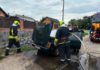 У Бердичеві під час руху загорівся легковий автомобіль: водій викликав рятувальників Пожежа двигуна авто