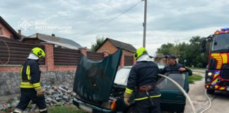 У Бердичеві під час руху загорівся легковий автомобіль: водій викликав рятувальників Пожежа двигуна авто