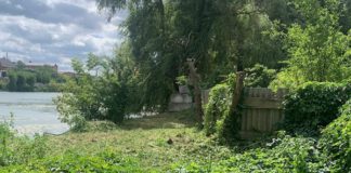У Бердичеві виявили обмеження доступу до водойм: екологічна інспекція реагує Річка у Бердичеві