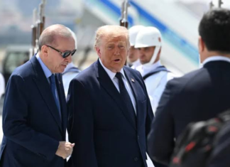 Дональд Трамп на переговорах НАТО: США обговорили оборону, безпеку Європи та підтримку України політика