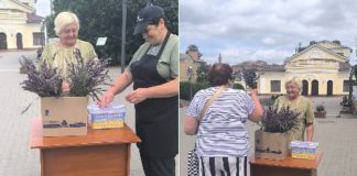 У Бердичеві працівники культури продають лаванду за донати на ЗСУ – добра ініціатива біля театру Лаванда за донат на ЗСУ